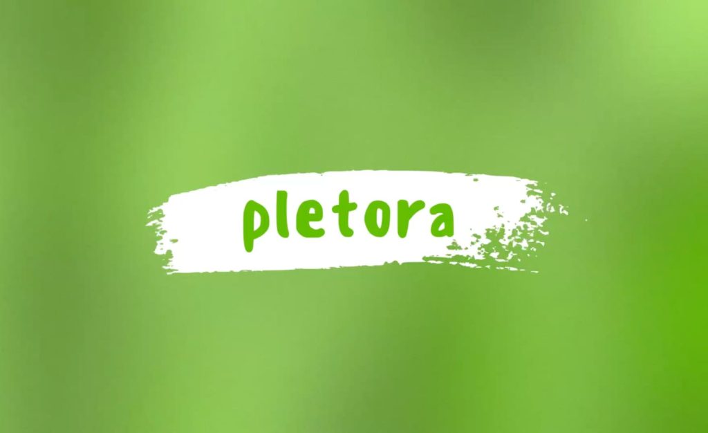 Интернет-магазин Pletora: сантехника и товары для дома